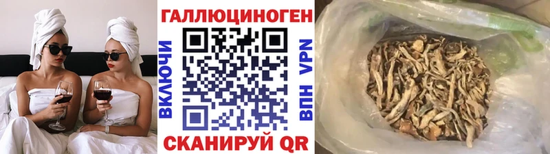 Галлюциногенные грибы GOLDEN TEACHER  Спасск-Дальний 